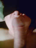 scoubi5.JPG (53345 octets)